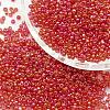 6/0 Round Glass Seed Beads SEED-J011-F6-165B-1