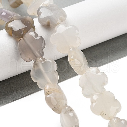 Natural White Agate Beads Strands G-F769-G01-01-1