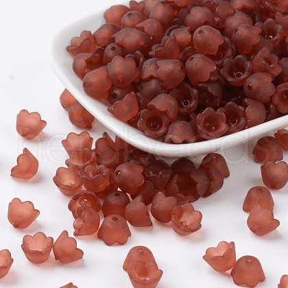 Transparent Acrylic Beads Caps X-PL543-13-1