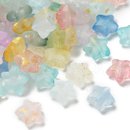 Frosted Acrylic Charms OACR-M023-04B-1