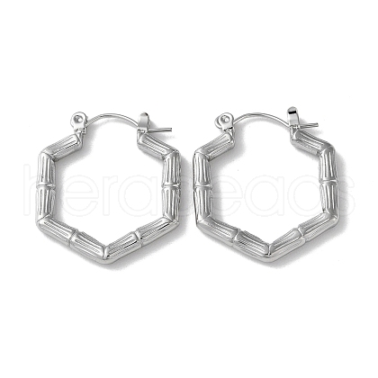 Non-Tarnish 304 Stainless Steel Hoop Earrings STAS-Z052-10P-1
