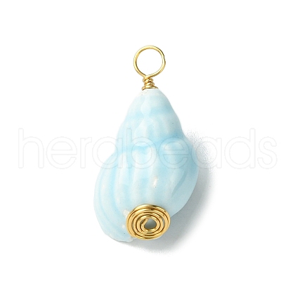 Copper Wire Wrapped Handmade Porcelain Pendants PALLOY-JF03335-1
