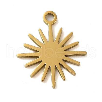 304 Stainless Steel Charms STAS-S123-01G-04-1