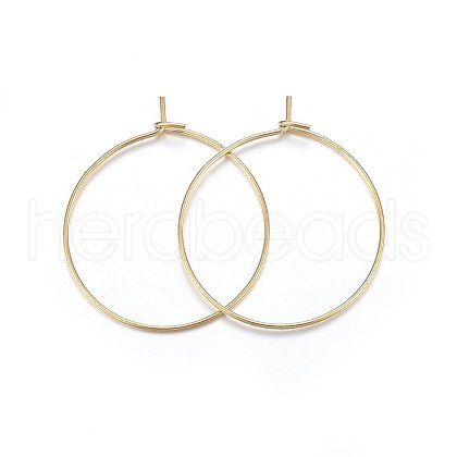 316 Surgical Stainless Steel Hoop Earrings X-STAS-P210-26G-02-1