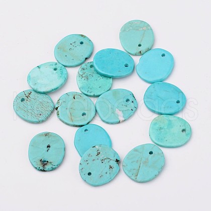Natural Howlite Charms X-TURQ-G929-B02-1