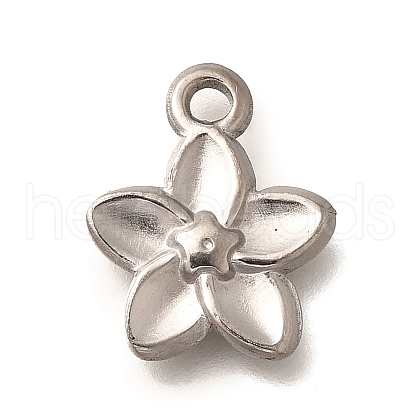 304 Stainless Steel Pendants STAS-P381-10P-1