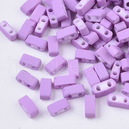 2-Hole Glass Seed Beads X-SEED-S023-31B-10-1