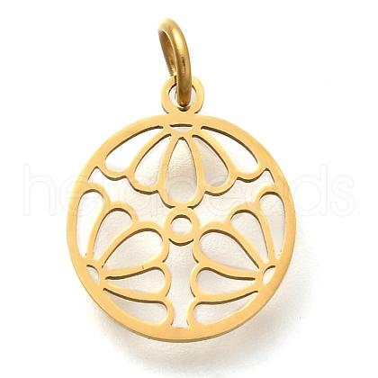 304 Stainless Steel Charms STAS-Z119-25G-1
