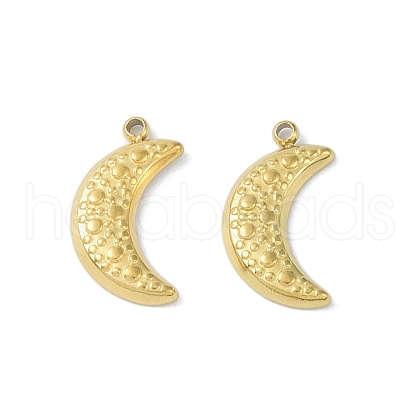 Ion Plating(IP) 304 Stainless Steel Charms STAS-R233-10G-1