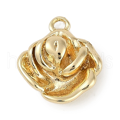 Brass Pendants KK-I719-28G-1
