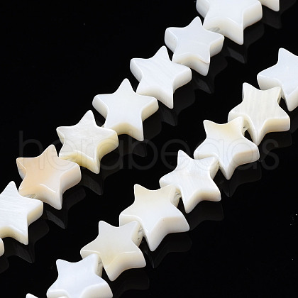 Natural Freshwater Shell Beads Strands SHEL-S278-01A-01-1