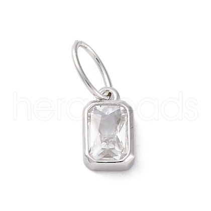 925 Sterling Silver Cubic Zirconia Charms STER-NH0014-01P-04-1
