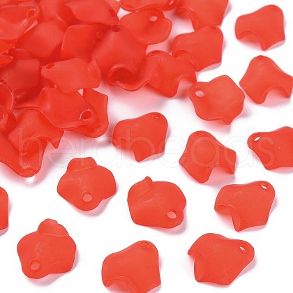 Transparent Acrylic Beads MACR-S373-106-D01-1