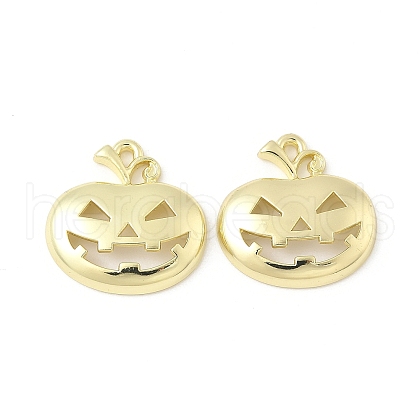 Alloy Pendants FIND-B047-02B-G-1