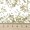 TOHO Round Seed Beads SEED-JPTR15-0991-3