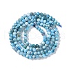 Natural Apatite Beads Strands G-P542-A07-02-3