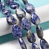 Natural Blue Spot Jasper Beads Strands G-P528-L17-01-2