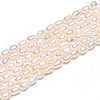 Natural Cultured Freshwater Pearl Beads Strands PEAR-N012-02Y-5