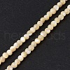 Natural Trochid Shell/Trochus Shell Beads Strands SSHEL-S266-023B-01-2