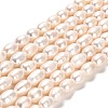 Natural Cultured Freshwater Pearl Beads Strands PEAR-E016-190-1