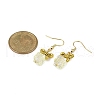 Alloy & Glass Dangle Earrings EJEW-JE06361-01-4