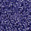 MIYUKI Round Rocailles Beads SEED-X0056-RR0649-4