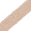 Glass Beads Strands EGLA-A034-T6mm-D20-2