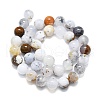 Natural White African Opal Beads Strands G-K245-A18-05-2