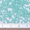 MIYUKI Round Rocailles Beads SEED-X0054-RR0571-3