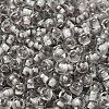 Transparent Glass Round Seed Beads X1-SEED-B001-05A-12-3
