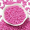Baking Paint Luster Glass Seed Beads X1-SEED-B001-04A-05-2