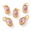 Real 18K Gold Plated Brass Inlaid Cubic Zirconia Charms ZIRC-L100-079G-2