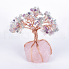 Natural Fluorite Chips and Rose Quartz Pedestal Display Decorations G-S282-04-1
