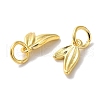 Long-Lasting Plated Brass Charms KK-K381-08G-01-2