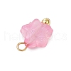Luminous Acrylic Charms PALLOY-JF03320-01-5