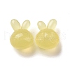 Imitation Jelly Style Acrylic Beads OACR-B002-05D-2