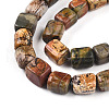 Natural Polychrome Jasper/Picasso Stone/Picasso Jasper Beads Strands G-T140-60A-3