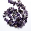 Natural Amethyst Beads Strands G-O049-C-48-2