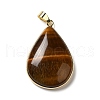 Natural Tiger Eye Pendants G-R486-03G-C-2