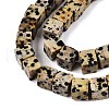 Natural Dalmatian Jasper Beads Strands G-T139-8x8-17A-3
