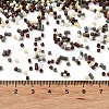 Baking Paint Glass Seed Beads SEED-S042-05B-55-4