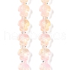 Transparent Glass Enamel Beads Strands GLAA-B021-06K-1