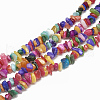 Freshwater Shell Beads Strands X-SHEL-S270-01-1