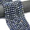 Natural Blue Spot Jasper Beads Strands G-P573-A45-01-1