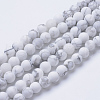 Natural Howlite Beads Strands G-T055-10mm-02-1