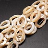 Natural Trochid Shell/Trochus Shell Beads Strands SSHEL-K008-07-1