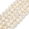 Natural Cultured Freshwater Pearl Beads Strands PEAR-E016-083-1
