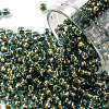 TOHO Round Seed Beads X-SEED-TR08-1014-1