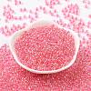 6/0 Glass Seed Beads SEED-T006-04F-10-2