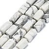 Natural Howlite Beads Strands G-O170-150-1